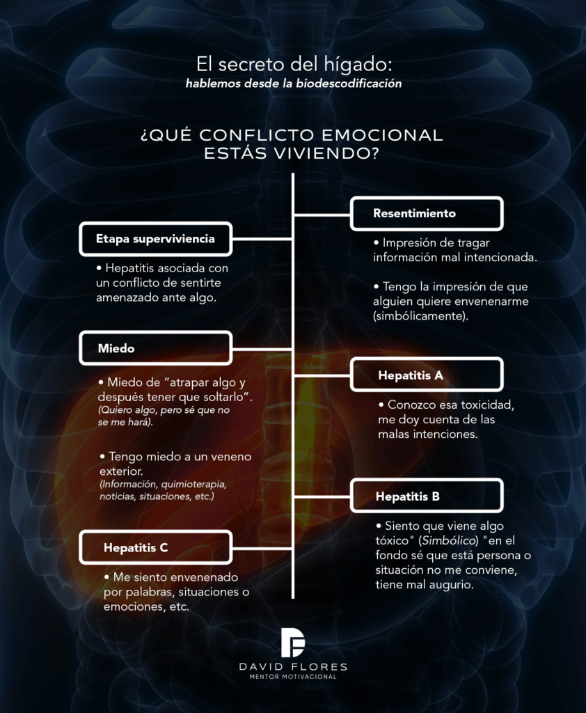 infografia-higado